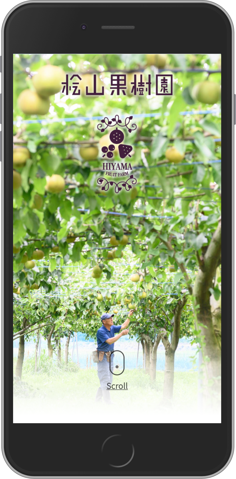 桧山果樹園さまのプロモーションサイト