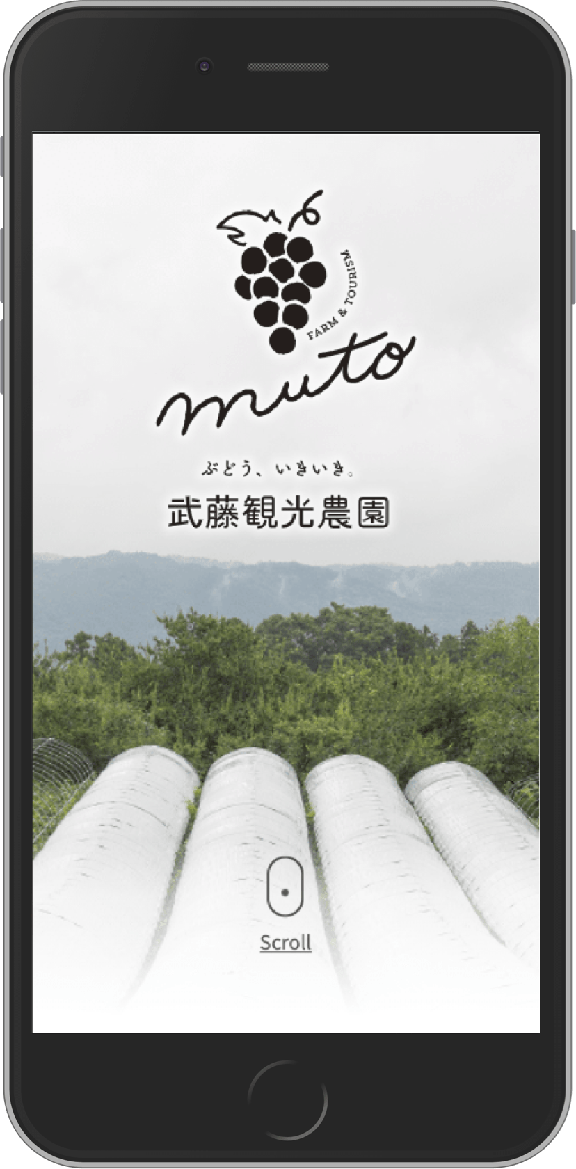 武藤観光農園さまのプロモーションサイト