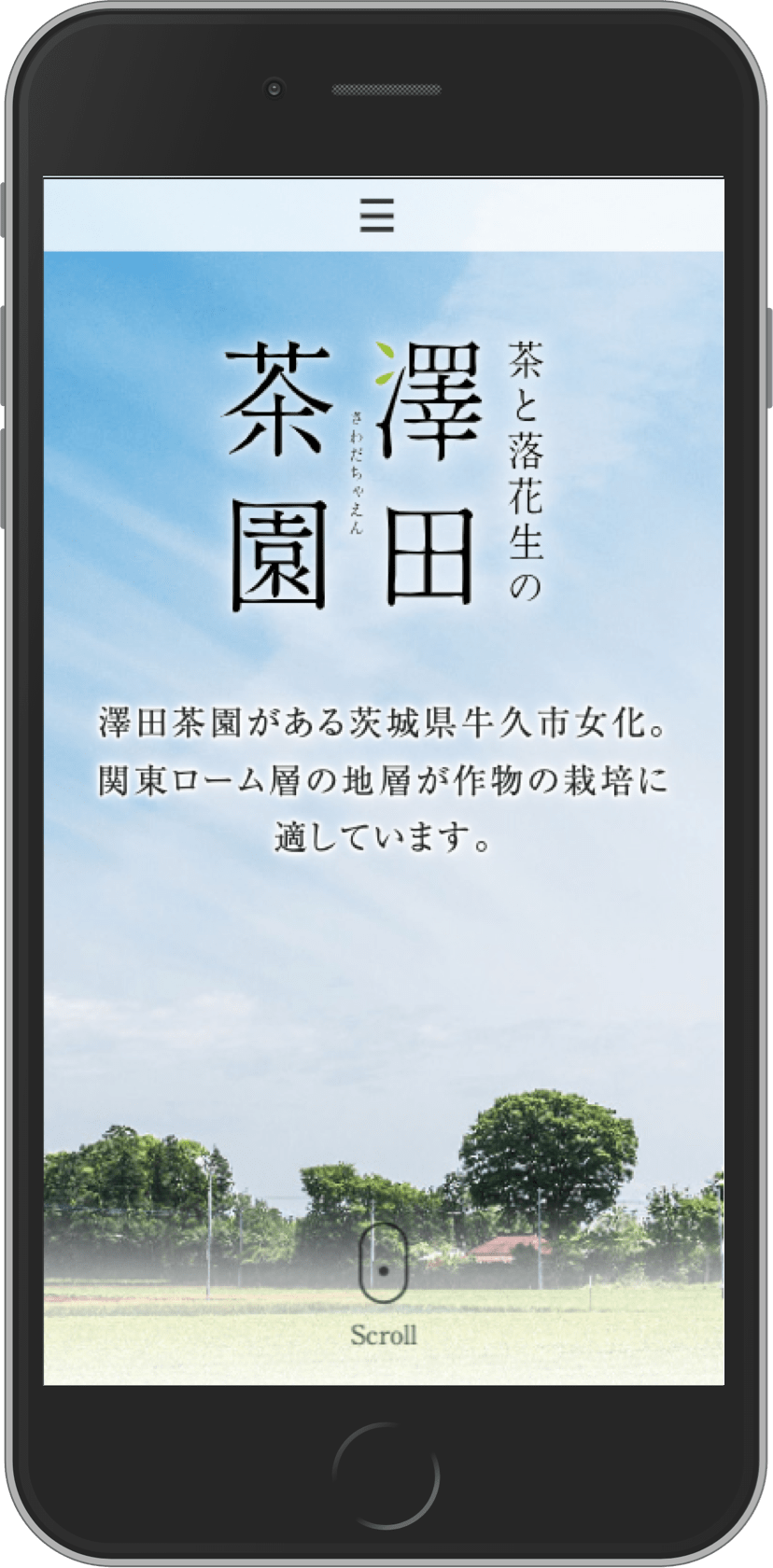 澤田茶園さまのプロモーションサイト